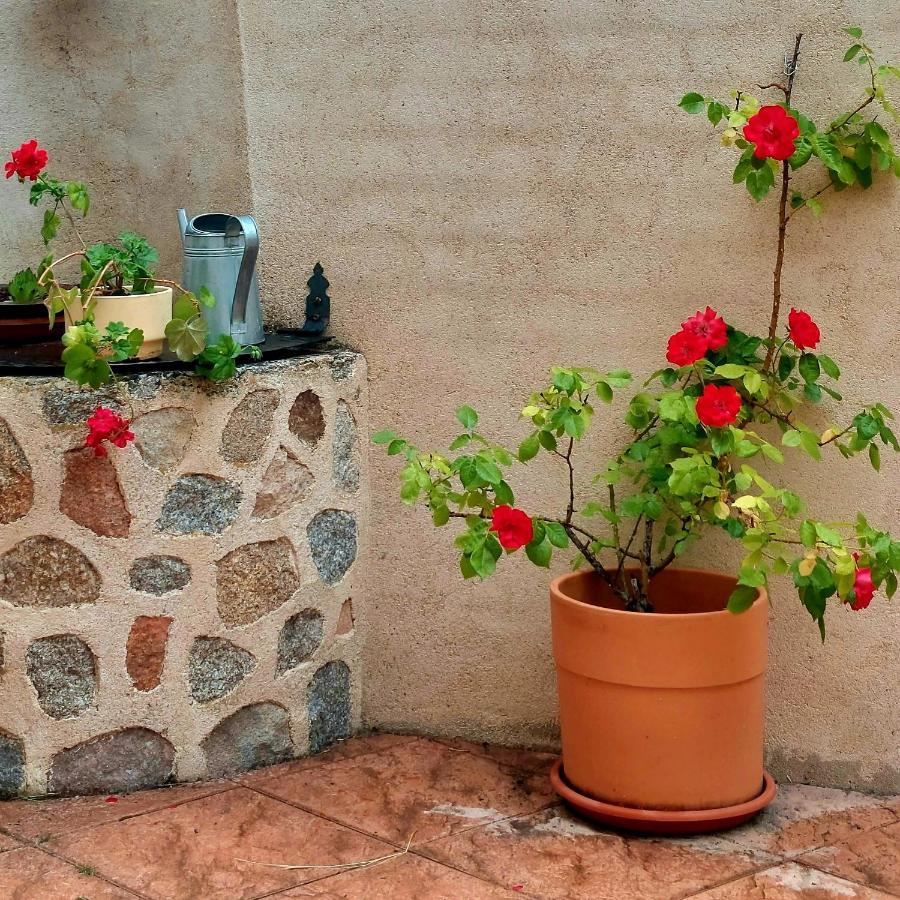 Casa Rural Abuela Reme El Fresno 外观 照片